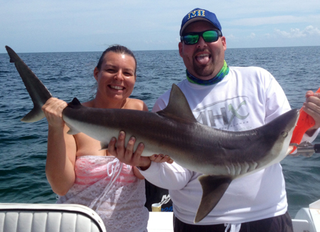 Inshore Shark